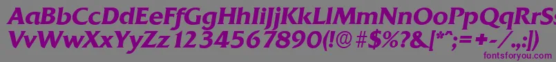 QuadratserialBolditalic Font – Purple Fonts on Gray Background