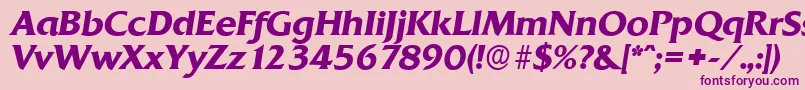 QuadratserialBolditalic Font – Purple Fonts on Pink Background