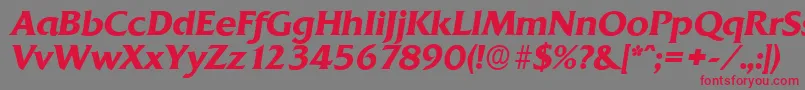 QuadratserialBolditalic Font – Red Fonts on Gray Background