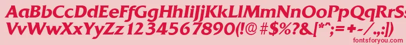 QuadratserialBolditalic Font – Red Fonts on Pink Background