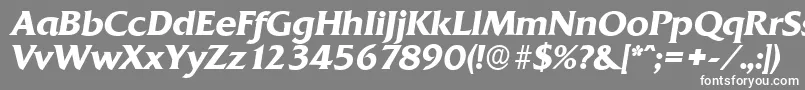 フォントQuadratserialBolditalic – 灰色の背景に白い文字