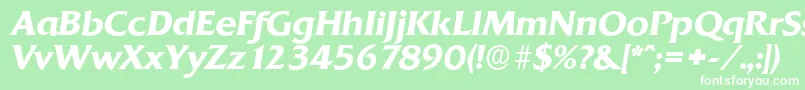 QuadratserialBolditalic Font – White Fonts on Green Background
