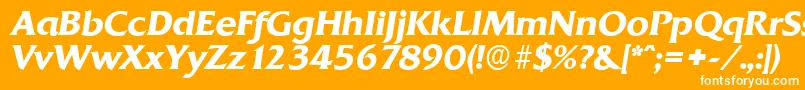 QuadratserialBolditalic Font – White Fonts on Orange Background