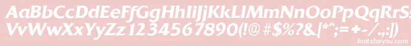 QuadratserialBolditalic Font – White Fonts on Pink Background