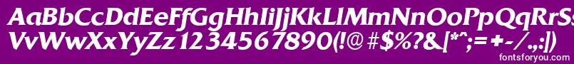QuadratserialBolditalic Font – White Fonts on Purple Background
