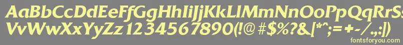 QuadratserialBolditalic Font – Yellow Fonts on Gray Background