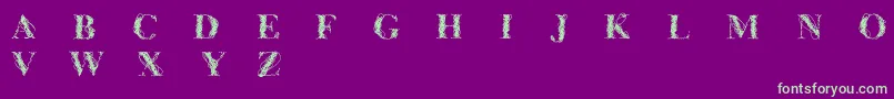 Шрифт Cfwireframe – зелёные шрифты на фиолетовом фоне