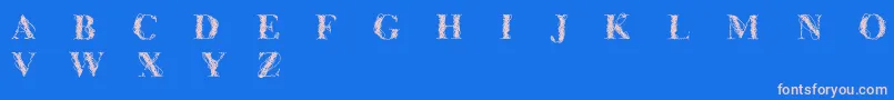 fuente Cfwireframe – Fuentes Rosadas Sobre Fondo Azul