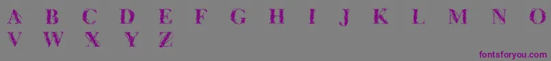 Шрифт Cfwireframe – фиолетовые шрифты на сером фоне