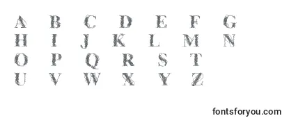 Cfwireframe Font