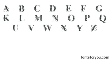  Cfwireframe font