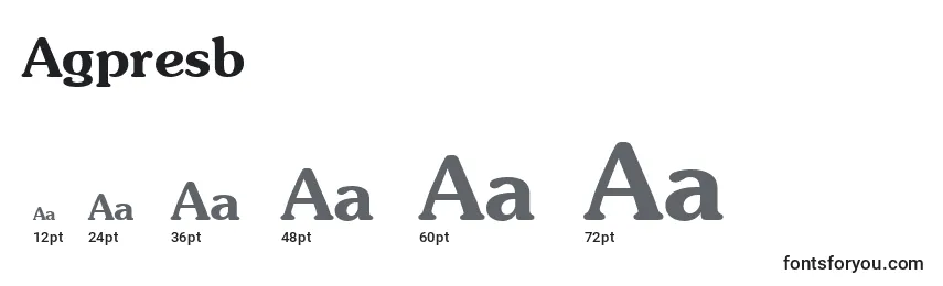 Размеры шрифта Agpresb