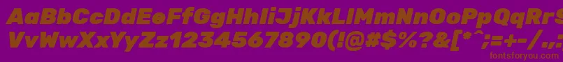 RubikBlackitalic Font – Brown Fonts on Purple Background