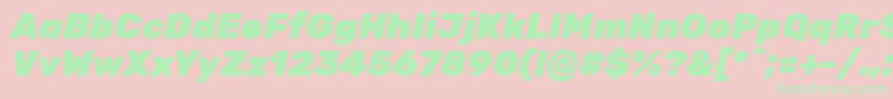 RubikBlackitalic Font – Green Fonts on Pink Background