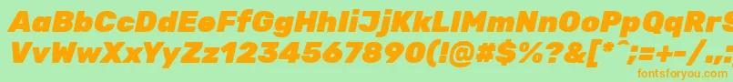 RubikBlackitalic Font – Orange Fonts on Green Background