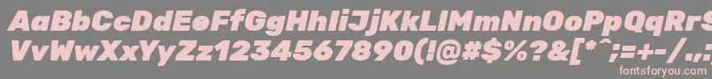 RubikBlackitalic Font – Pink Fonts on Gray Background