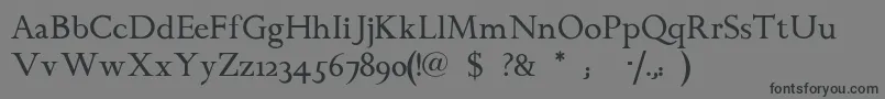 Chanticleerroman Font – Black Fonts on Gray Background