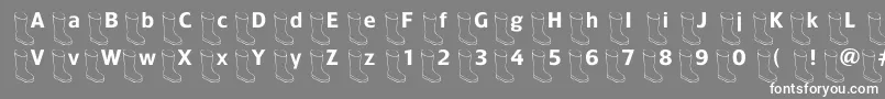 Oldboot Font – White Fonts on Gray Background