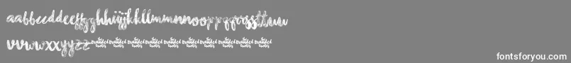 ChasingEmbersDemoVersion-Schriftart – Weiße Schriften auf grauem Hintergrund
