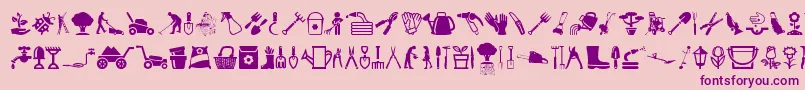 GardenIcons-Schriftart – Violette Schriften auf rosa Hintergrund