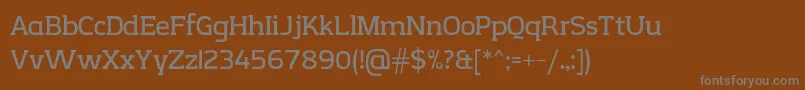 Подробнее о шрифте CreativzooSerifV2.1 Шрифт CreativzooSerifV2.1 – серые шрифты на коричневом фоне
