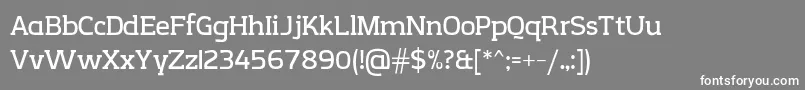 CreativzooSerifV2.1 Font – White Fonts on Gray Background