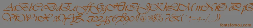 Vivienne Font – Brown Fonts on Gray Background