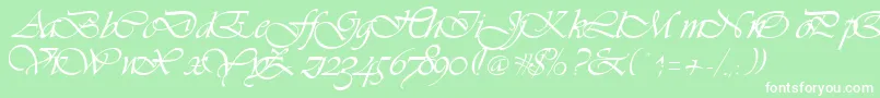 Vivienne Font – White Fonts on Green Background