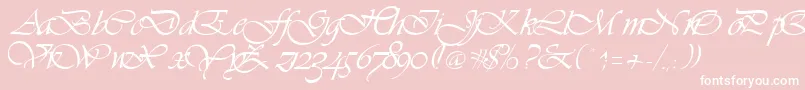 Vivienne Font – White Fonts on Pink Background