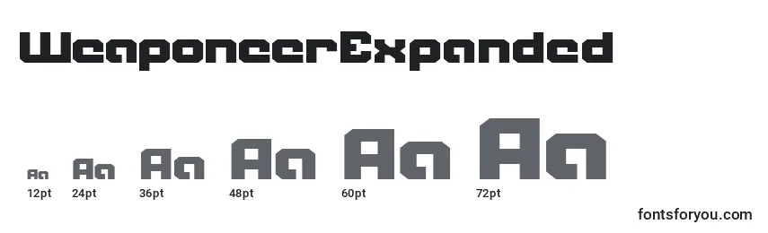 WeaponeerExpanded Font Sizes