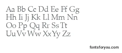 PalatinoLtLight Font