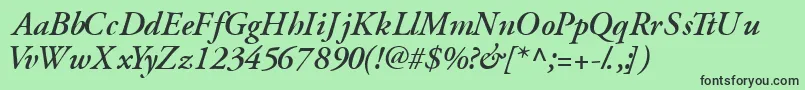 GaramondsskSemibolditalic Font – Black Fonts on Green Background