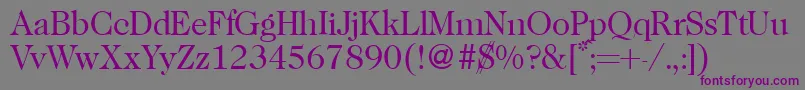 Caslon335Regular-Schriftart – Violette Schriften auf grauem Hintergrund