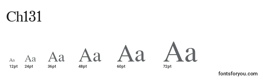 Ch131 Font Sizes