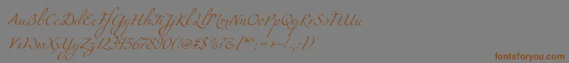 Miamaフォントについての詳細 フォントMiama – 茶色の文字が灰色の背景にあります。