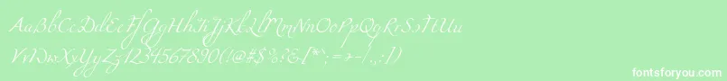 Miama Font – White Fonts on Green Background