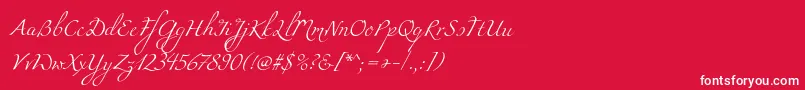 Miama Font – White Fonts on Red Background