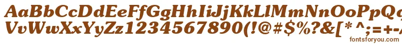 Suevermeer7Bolditalicsh Font – Brown Fonts on White Background