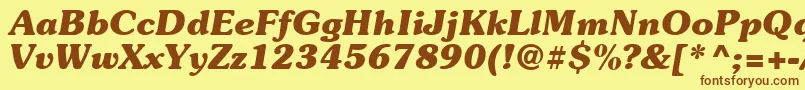 Suevermeer7Bolditalicsh Font – Brown Fonts on Yellow Background