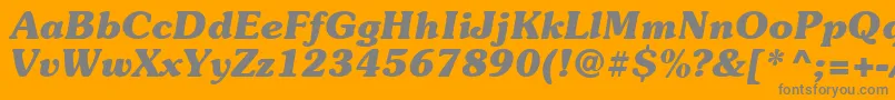 Suevermeer7Bolditalicsh Font – Gray Fonts on Orange Background