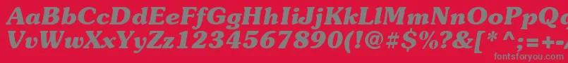 Suevermeer7Bolditalicsh Font – Gray Fonts on Red Background