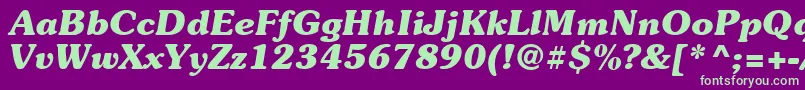 Suevermeer7Bolditalicsh Font – Green Fonts on Purple Background
