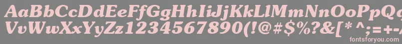 Suevermeer7Bolditalicsh Font – Pink Fonts on Gray Background