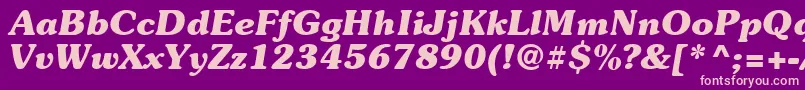 Suevermeer7Bolditalicsh Font – Pink Fonts on Purple Background