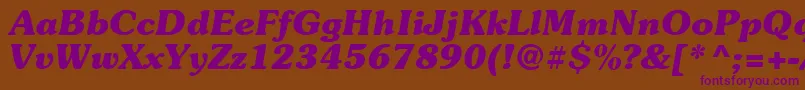 Suevermeer7Bolditalicsh Font – Purple Fonts on Brown Background