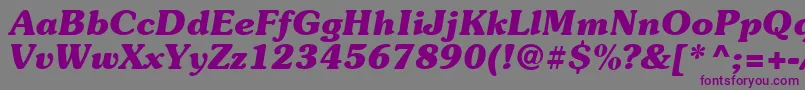 Suevermeer7Bolditalicsh Font – Purple Fonts on Gray Background