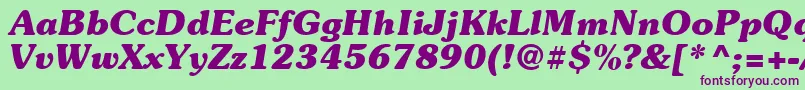 Suevermeer7Bolditalicsh Font – Purple Fonts on Green Background