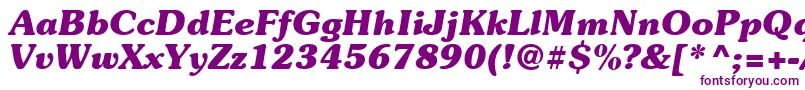 Suevermeer7Bolditalicsh Font – Purple Fonts