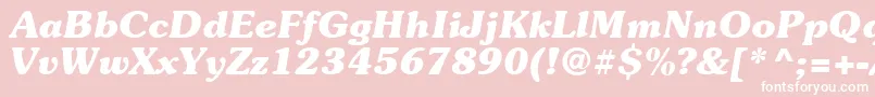 Suevermeer7Bolditalicsh Font – White Fonts on Pink Background