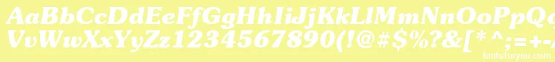 Suevermeer7Bolditalicsh Font – White Fonts on Yellow Background